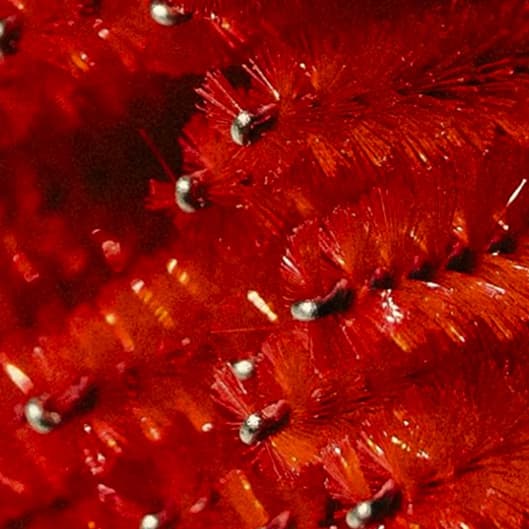 La Jefa at Anaiz Beauty in West Palm Beach, FL